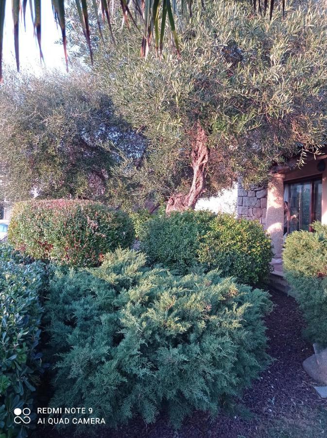 Bed and Breakfast la forma dell'acqua Su Forti Esterno foto