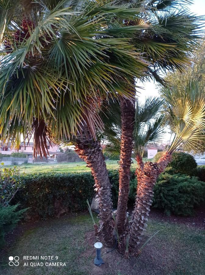 Bed and Breakfast la forma dell'acqua Su Forti Esterno foto